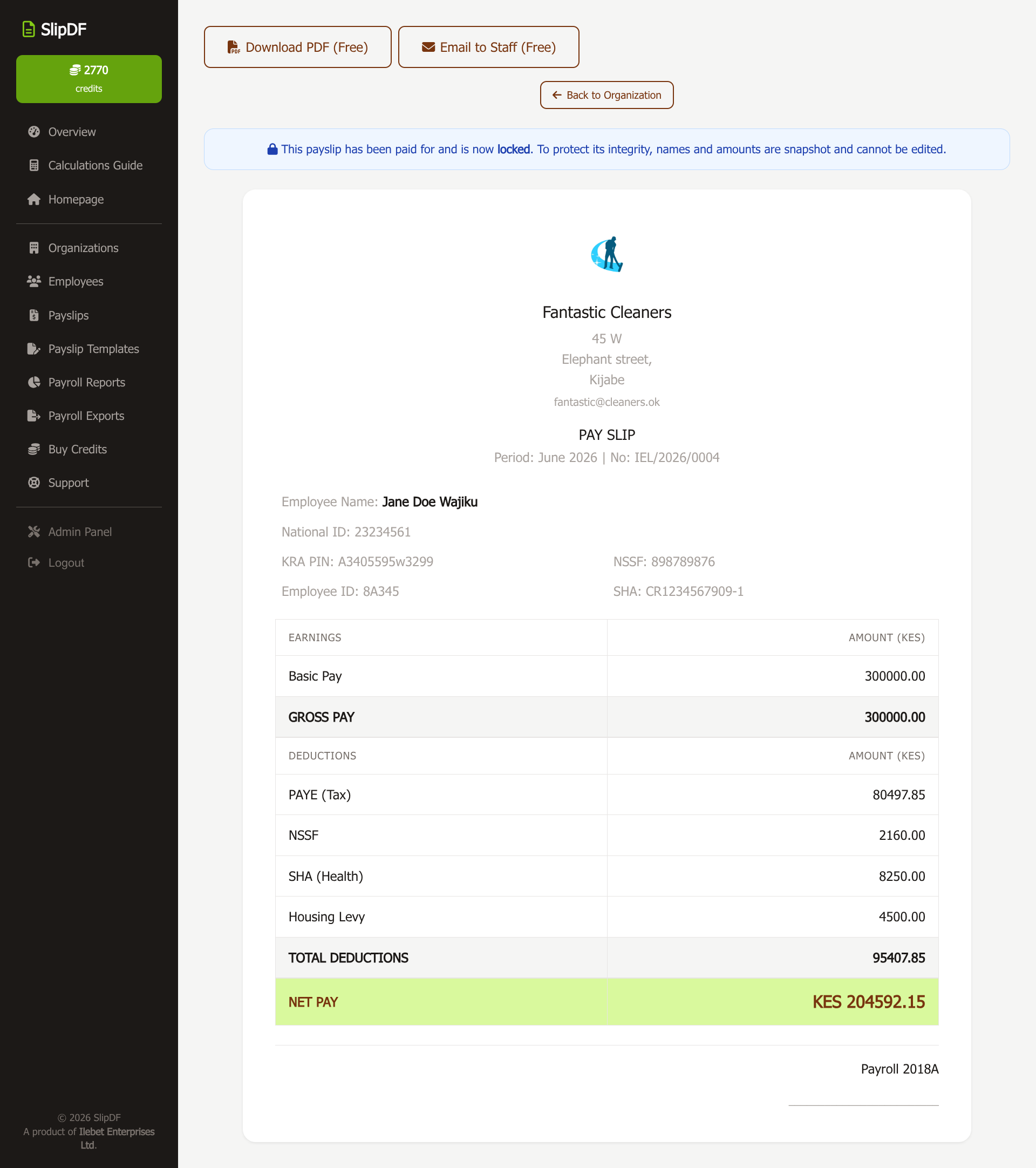 Payslip Preview